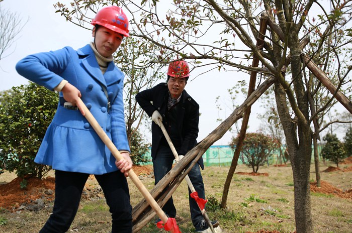 MV6A4227_副本文.jpg MV6A4227_副本文.jpg