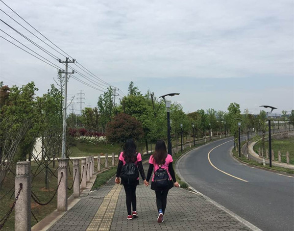 0ACED75963C08CA8A42F3CF83146660D_副本.jpg 0ACED75963C08CA8A42F3CF83146660D_副本.jpg