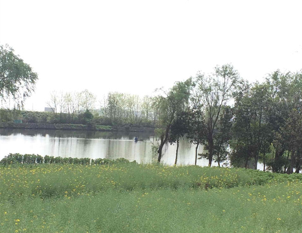 QQ图片20160409222859_副本小.jpg QQ图片20160409222859_副本小.jpg