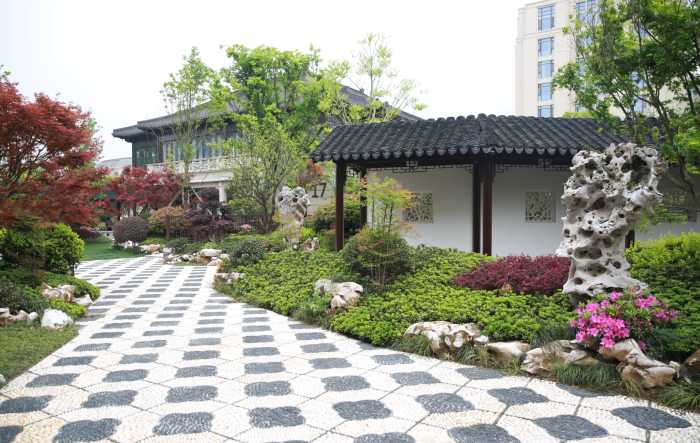 W20A2803_看图王.jpg W20A2803_看图王.jpg