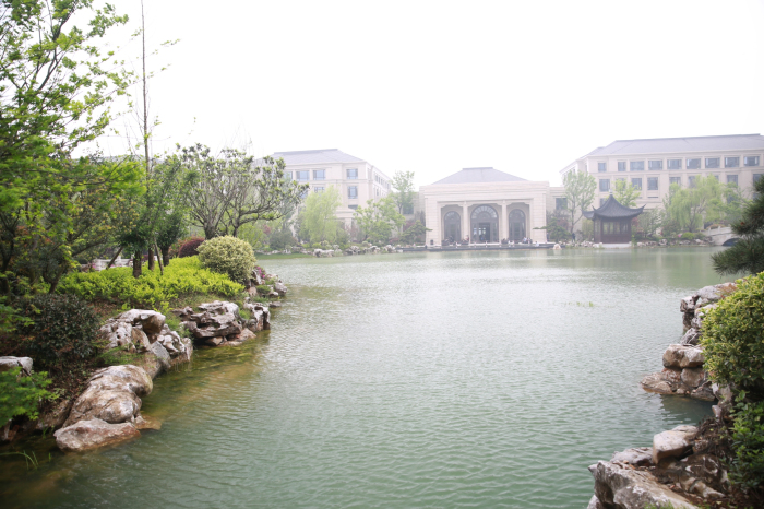 W20A2831_看图王.jpg W20A2831_看图王.jpg